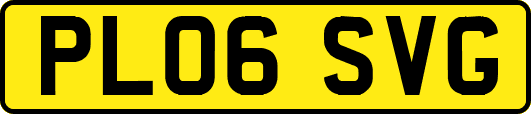 PL06SVG