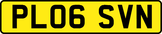 PL06SVN