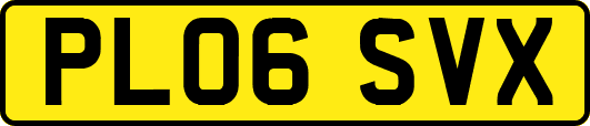 PL06SVX
