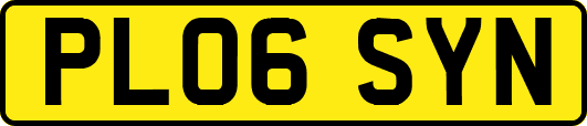 PL06SYN