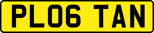 PL06TAN