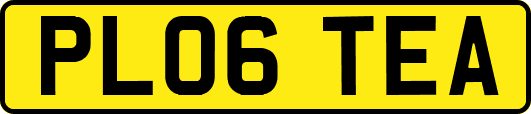 PL06TEA