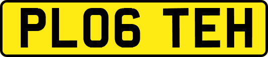 PL06TEH