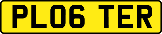 PL06TER