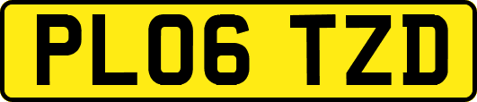 PL06TZD