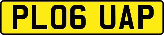 PL06UAP