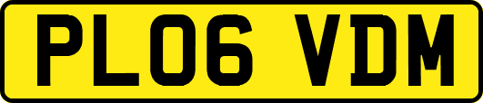 PL06VDM