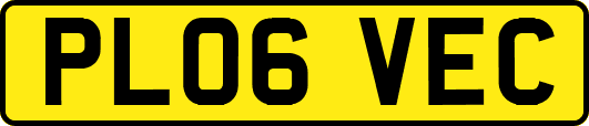 PL06VEC