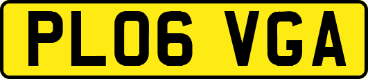 PL06VGA