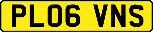 PL06VNS