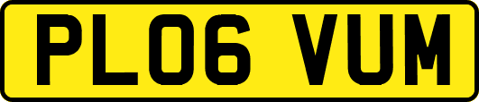 PL06VUM