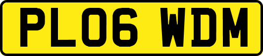 PL06WDM