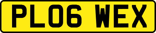 PL06WEX