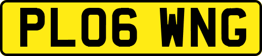 PL06WNG