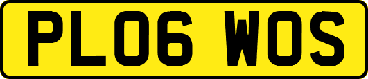 PL06WOS