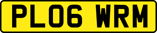 PL06WRM