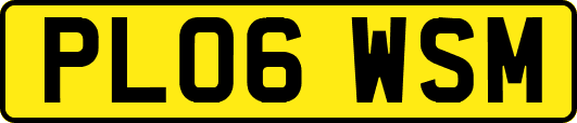 PL06WSM