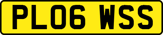 PL06WSS