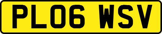 PL06WSV