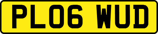 PL06WUD
