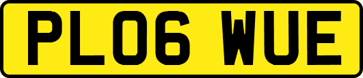 PL06WUE