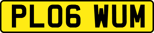 PL06WUM