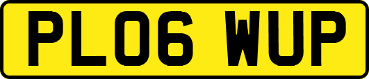 PL06WUP