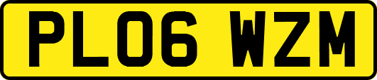 PL06WZM