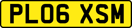 PL06XSM