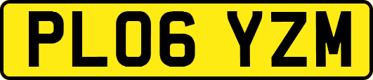 PL06YZM