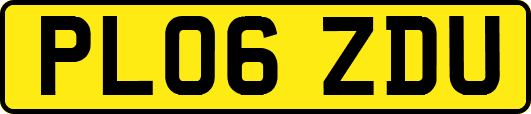 PL06ZDU