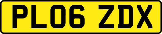 PL06ZDX