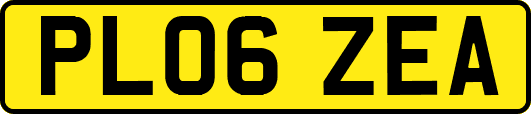 PL06ZEA