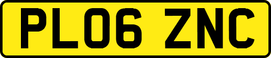 PL06ZNC