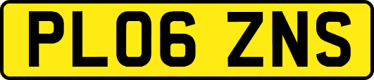 PL06ZNS