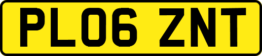 PL06ZNT