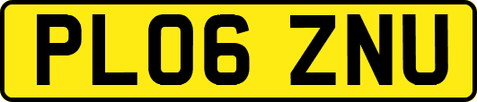 PL06ZNU