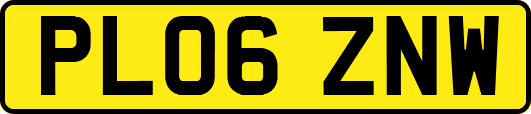 PL06ZNW