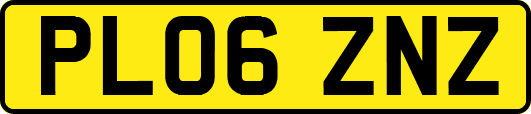 PL06ZNZ