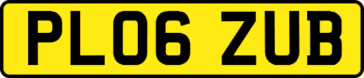 PL06ZUB