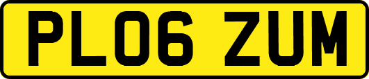 PL06ZUM