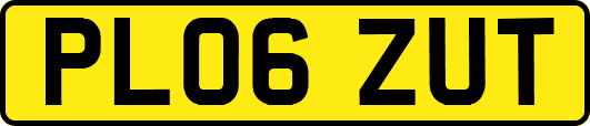 PL06ZUT