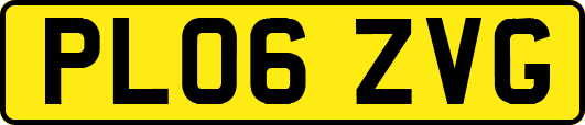 PL06ZVG
