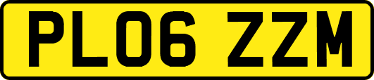 PL06ZZM
