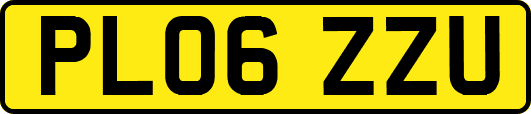 PL06ZZU
