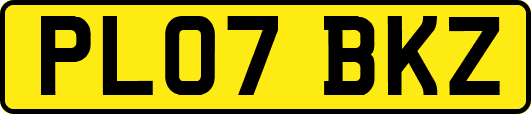 PL07BKZ