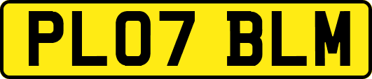 PL07BLM