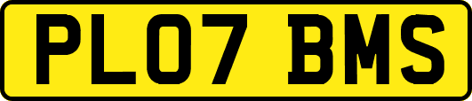 PL07BMS