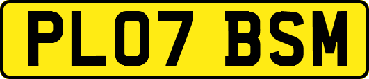 PL07BSM