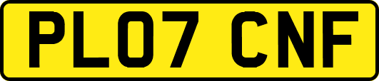 PL07CNF